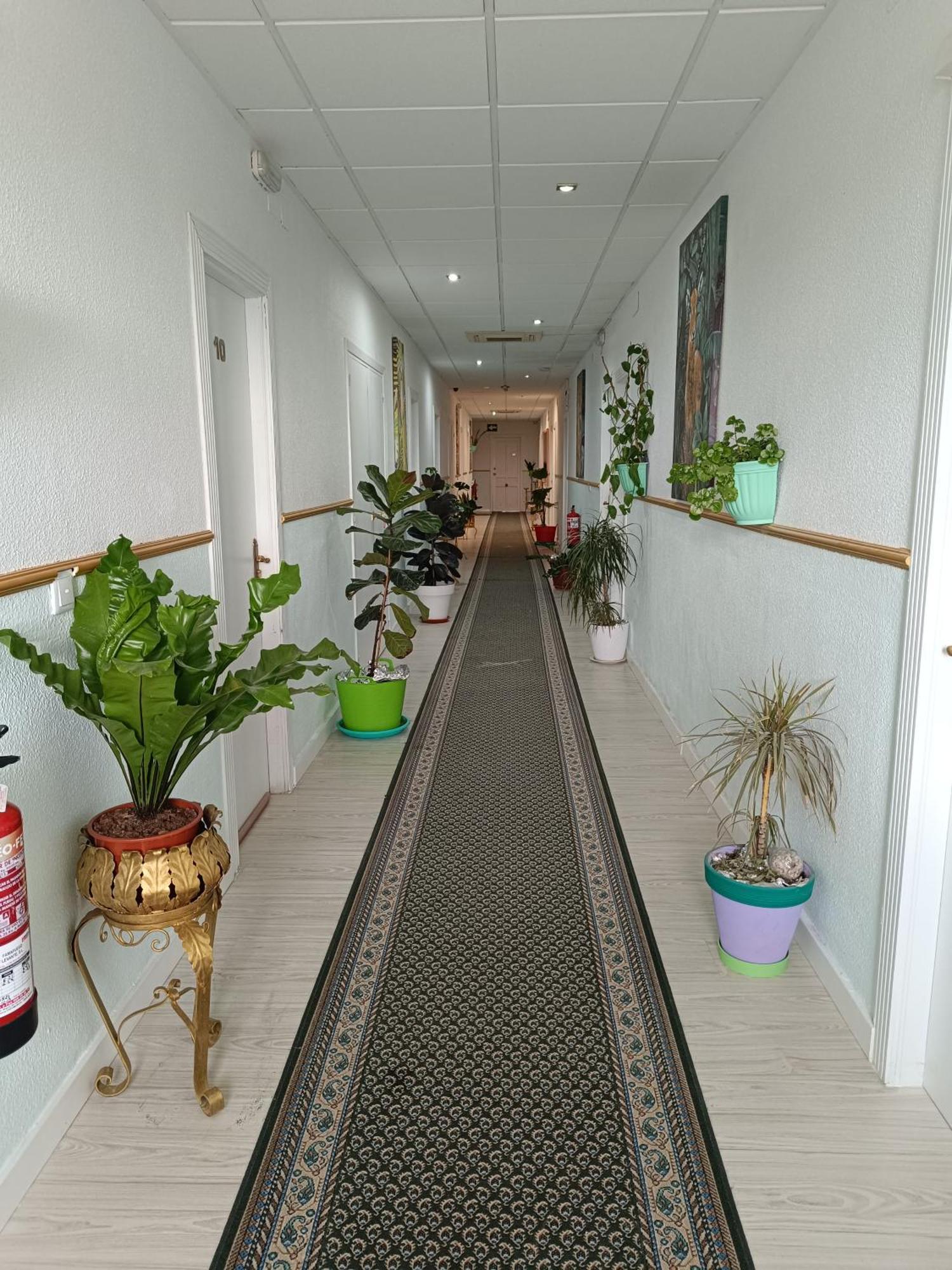 Hostal Fuente Del Pino Jumilla Kültér fotó